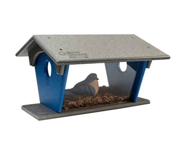 Blue Bird Feeder